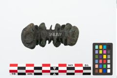 Foto von Bronzebuckelarmreif (NHMW-PRAE-025580)